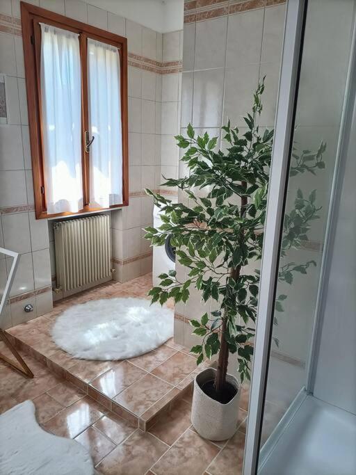 A Due Passi Dal Centro Villa Treviso Ngoại thất bức ảnh