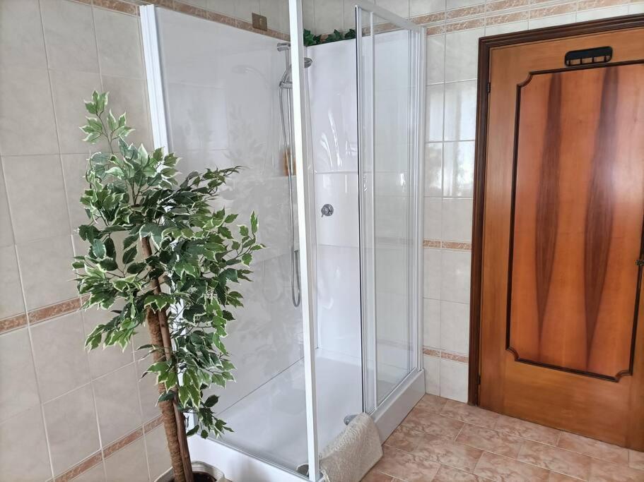 A Due Passi Dal Centro Villa Treviso Ngoại thất bức ảnh